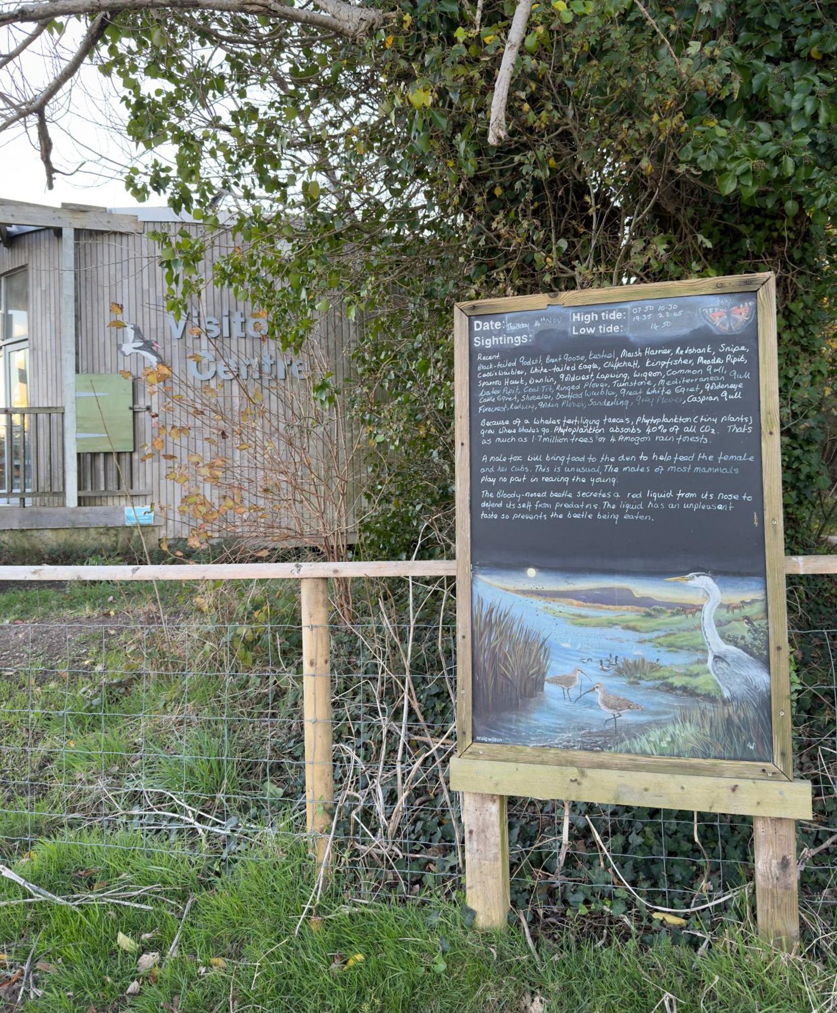 Good Vibes Apartamento Christchurch  Exterior foto